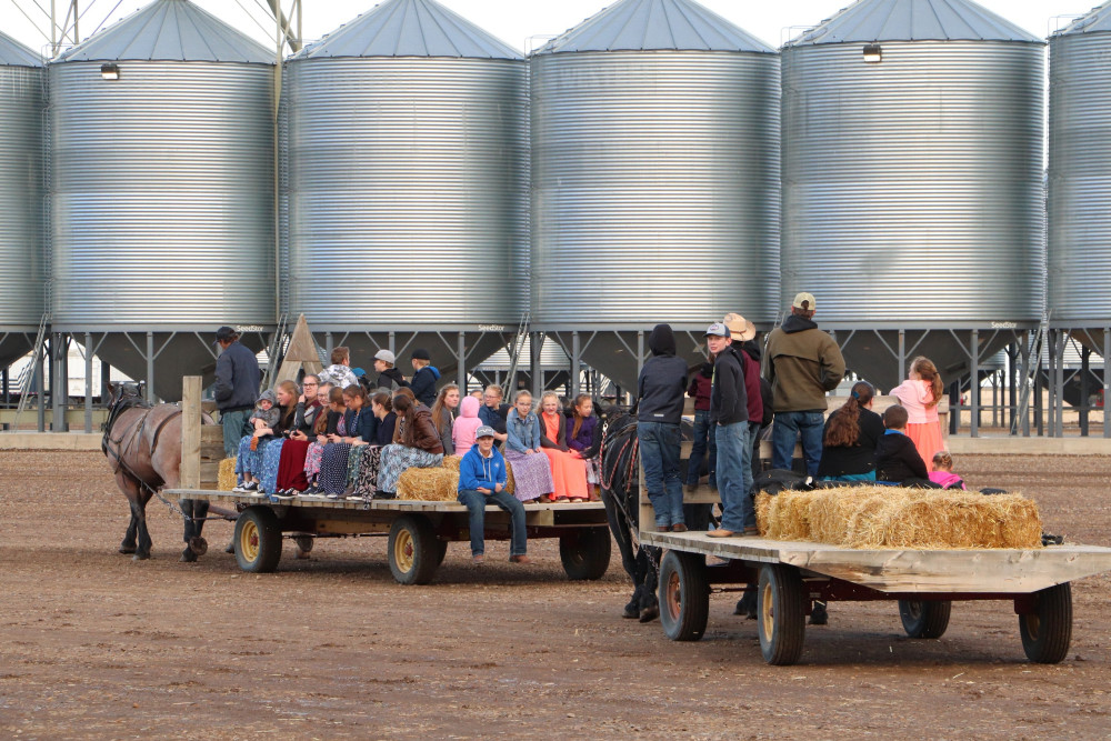 Hay rides at our main farm during harvest supper