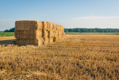Straw Bales & Feed