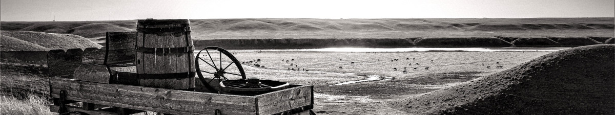 Rowland Farms header image